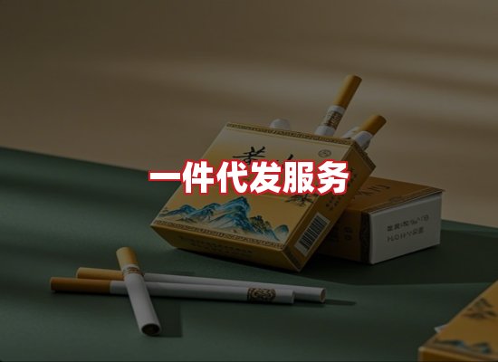 专业团队